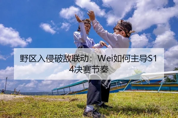 野区入侵破敌联动：Wei如何主导S14决赛节奏